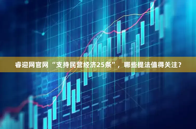 睿迎网官网 “支持民营经济25条”，哪些提法值得关注？
