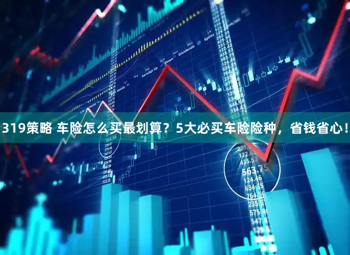 319策略 车险怎么买最划算？5大必买车险险种，省钱省心！